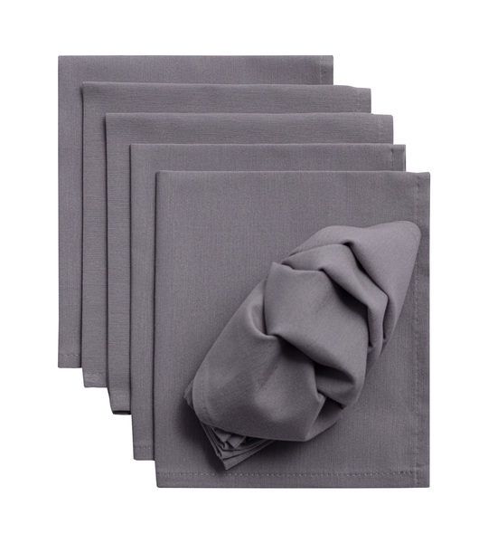 Set napkins 6 pcs 42x42cm Loneta 133-24