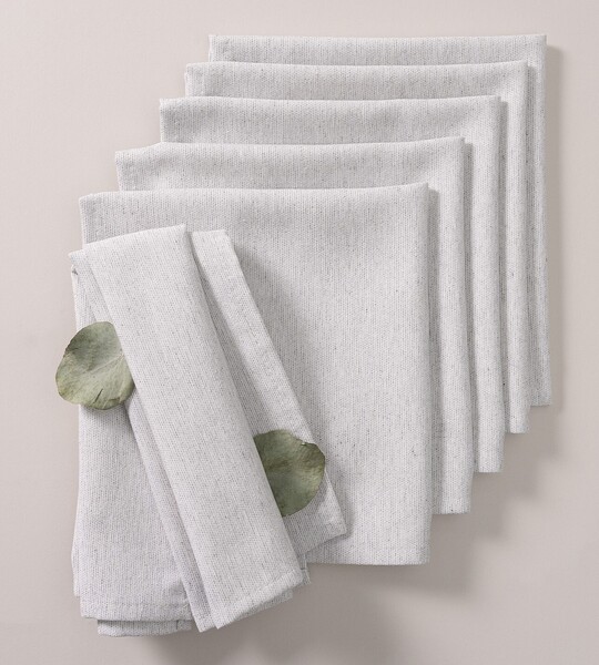 Set napkins 6pcs 42x42 182-13