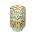 Lantern Antlia 13 cm mint