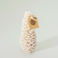 Candle Pine Frost and 7x18 cm